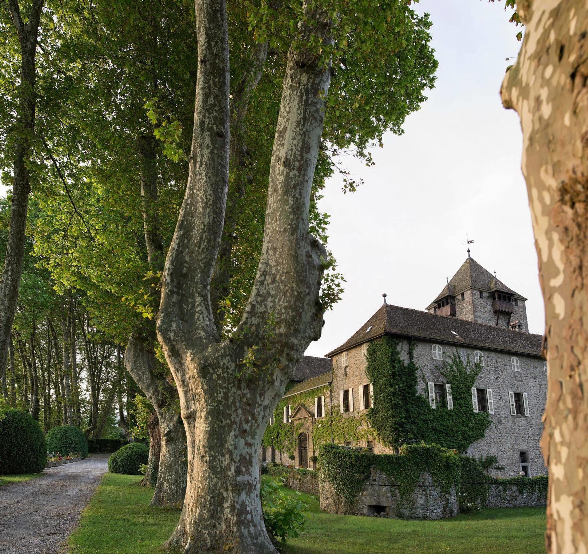 Chateau De Coudree - Les Collectionneurs Sciez Exterior photo